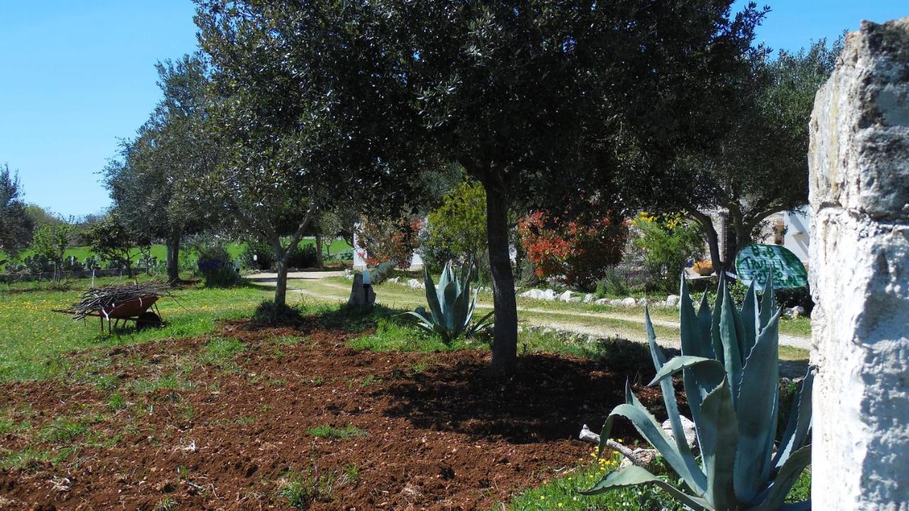 B&B Trulli Sotto La Cupa Martina Franca Buitenkant foto